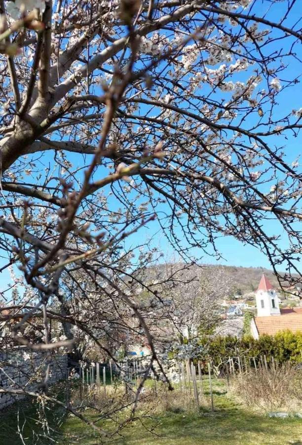 巴拉顿菲赖德 Aracsi Vendeghaz酒店 外观 照片